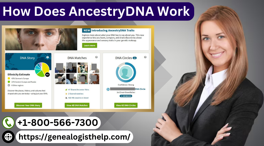 How Does Ancestrydna Work?